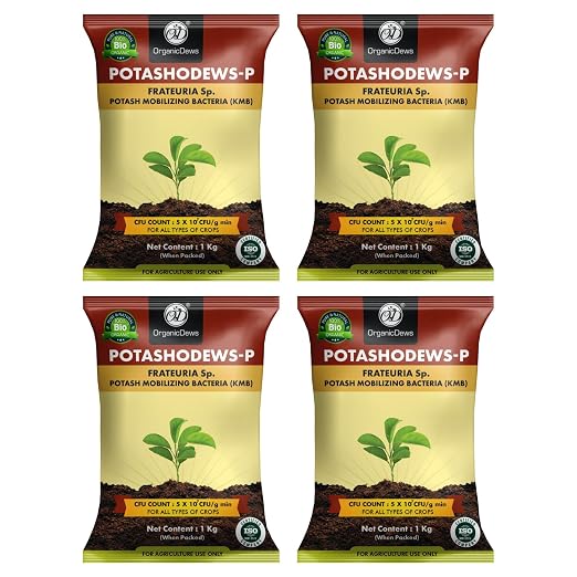 OrganicDews Potash Mobilizing Bacteria KMB Bio Fertilizer (5x10^7 CFU/g) Bio Inoculant for Plants – Improves Potassium Availability, Supports Root Growth, Flowering & Fruit Quality