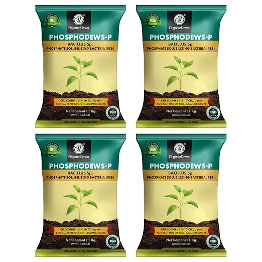 OrganicDews Phosphate Solubilizing Bacteria (PSB) Bio Fertilizer Powder (5×10⁷ CFU/g) for Plants - Improves Phosphorus Availability, Nutrient Uptake, Root Development & Plant Growth