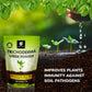 OrganicDews Trichoderma Viride Powder (2 x 10^8 CFU per Gram) For Plants