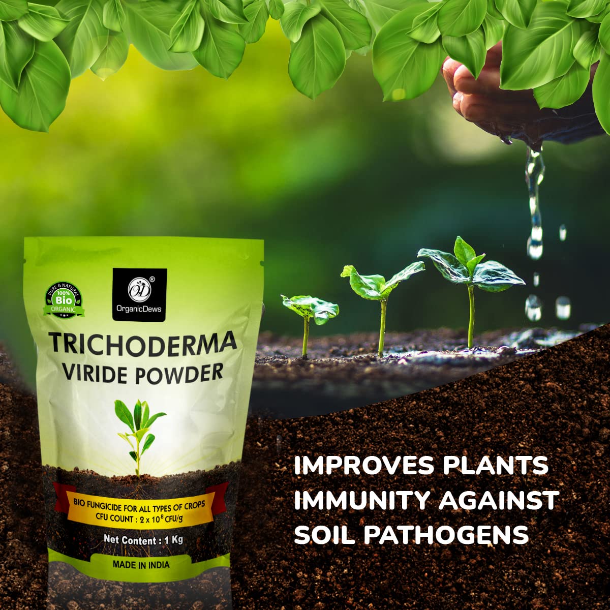 OrganicDews Trichoderma Viride Powder (2 x 10^8 CFU per Gram) For Plants
