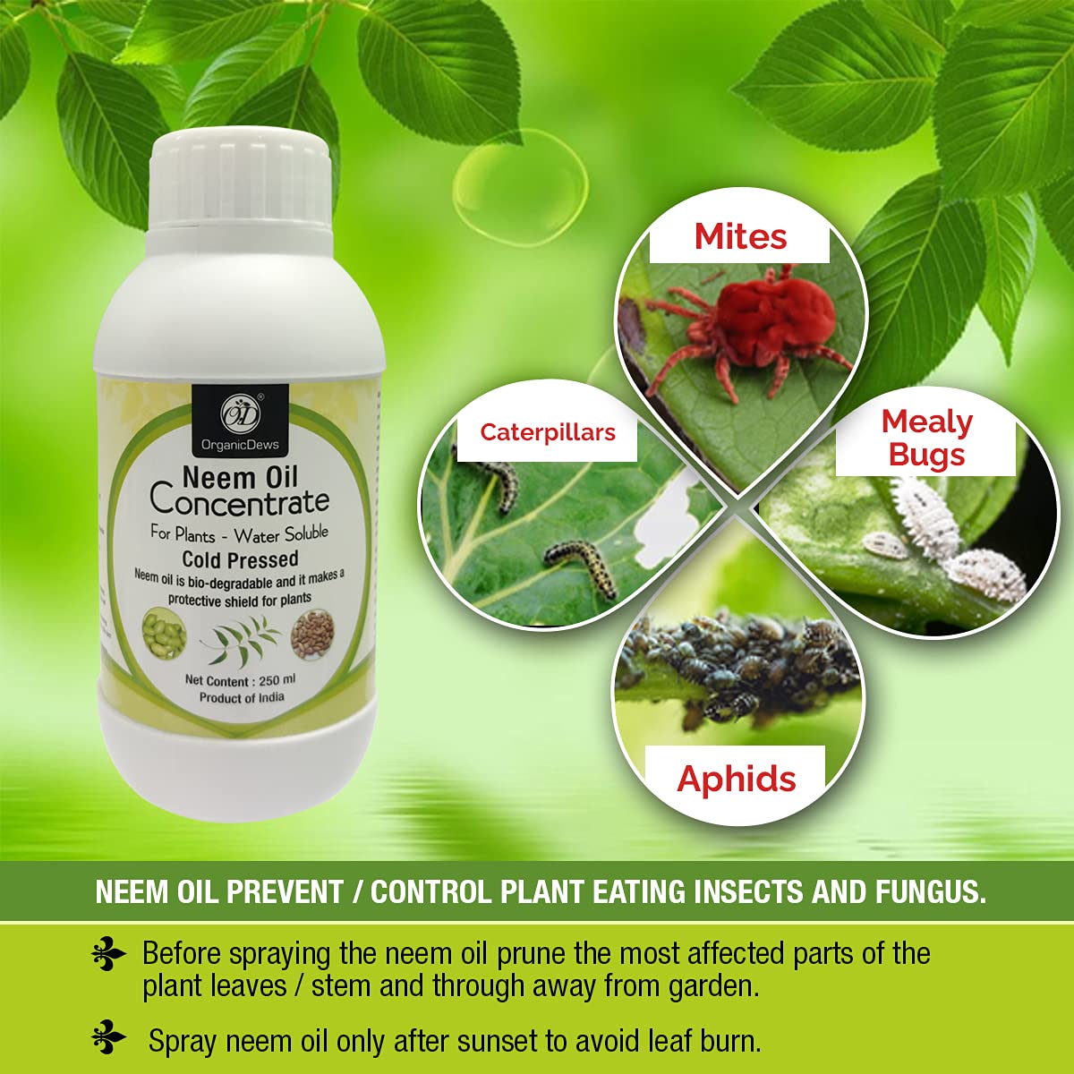 OrganicDews Liquid Seaweed Fertilizer & Neem Seed Oil 1500 PPM -  Combo with Measuring Cup 25 ml - Plant Growth Enhancer cum Protector, Soil Conditioner