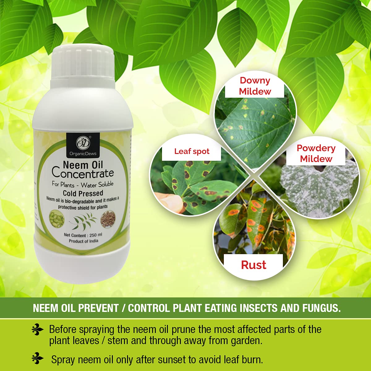 OrganicDews Liquid Seaweed Fertilizer & Neem Seed Oil 1500 PPM -  Combo with Measuring Cup 25 ml - Plant Growth Enhancer cum Protector, Soil Conditioner
