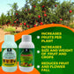 OrganicDews Liquid Seaweed Extract & Amino Acid Fertilizer - Combo Based Bio Stimulant Concentrate Measuring Cup 25 ml - Plant Growth Enhancer, Soil Conditioner for Indoor and Outdoor