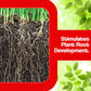 OrganicDews Organic Humic Acid 98% Fertilizer (Water-Soluble) | Shiny Flakes for Plants | Plant Growth Enhancer & Soil Conditioner | Supports Healthy Root Development