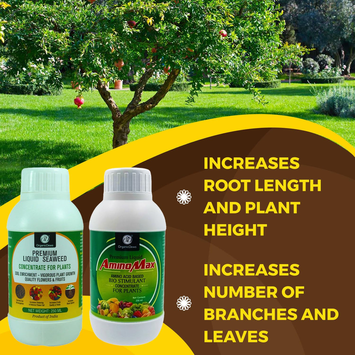OrganicDews Liquid Seaweed Extract & Amino Acid Fertilizer - Combo Based Bio Stimulant Concentrate Measuring Cup 25 ml - Plant Growth Enhancer, Soil Conditioner for Indoor and Outdoor