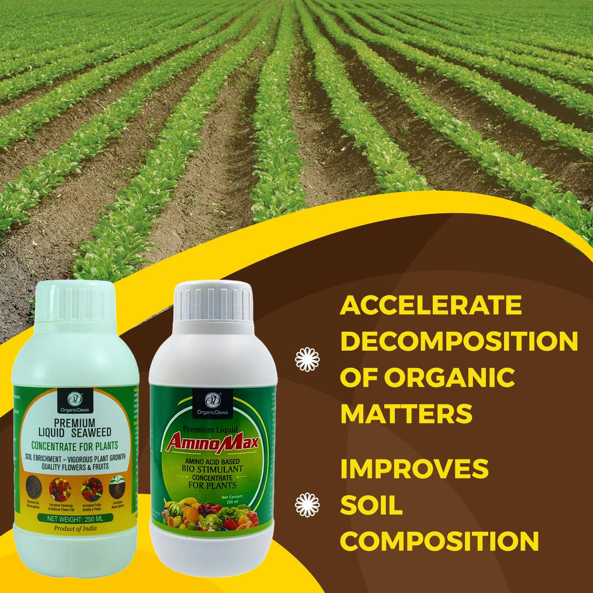 OrganicDews Liquid Seaweed Extract & Amino Acid Fertilizer - Combo Based Bio Stimulant Concentrate Measuring Cup 25 ml - Plant Growth Enhancer, Soil Conditioner for Indoor and Outdoor