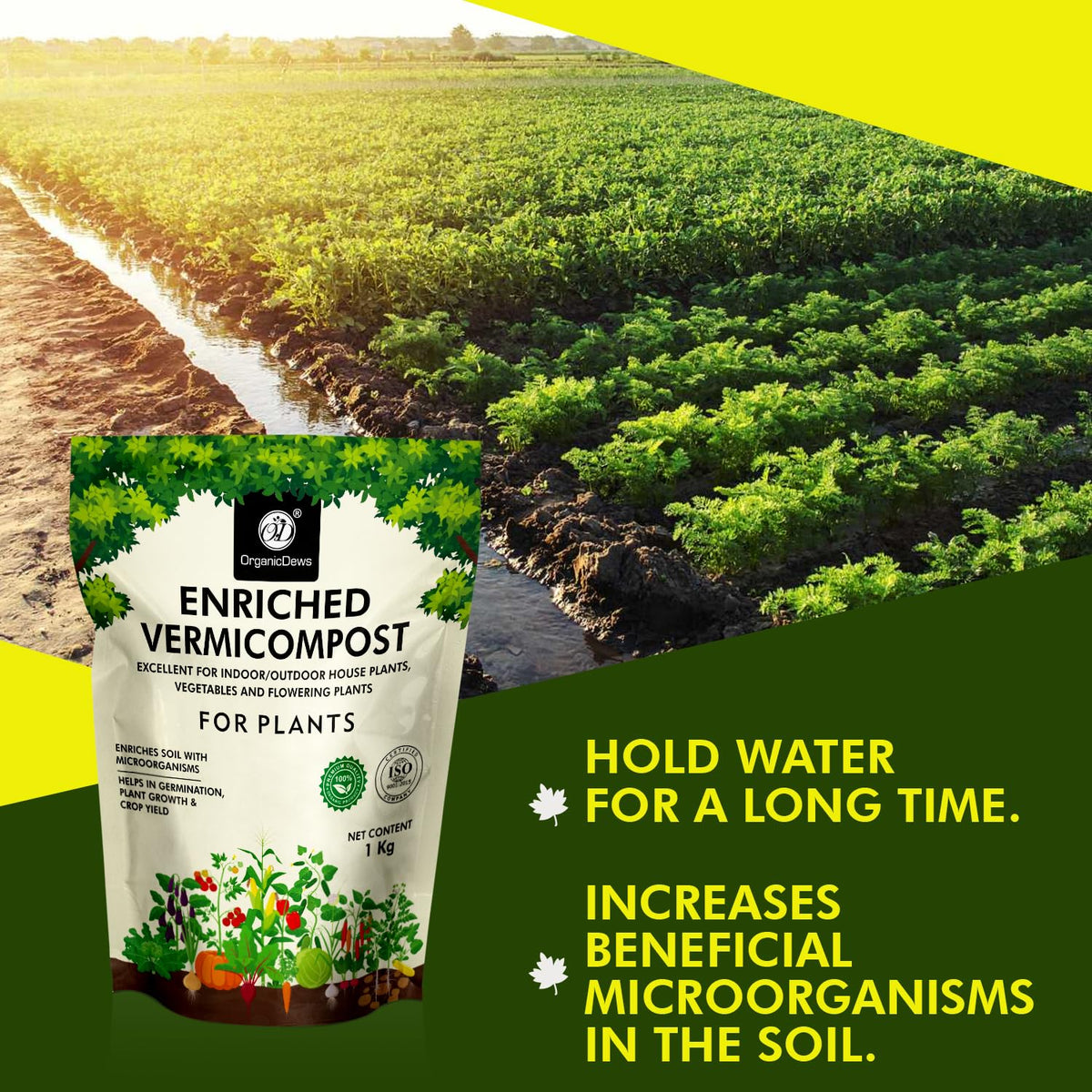 OrganicDews Enriched Vermicompost - Enriched & Fortified with Cow Dung and Bio Fertilizers - For Terrace Gardening, Vegetable/Flower Plants