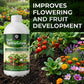 OrganicDews Liquid Spirulina Based Biostimulant for Plants - Organic Plant Growth Booster Improves Root Growth, Leaf Health & Flowering - For Indoor, Outdoor, Terrace & Garden Plants