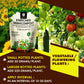 OrganicDews Enriched Vermicompost - Enriched & Fortified with Cow Dung and Bio Fertilizers - For Terrace Gardening, Vegetable/Flower Plants