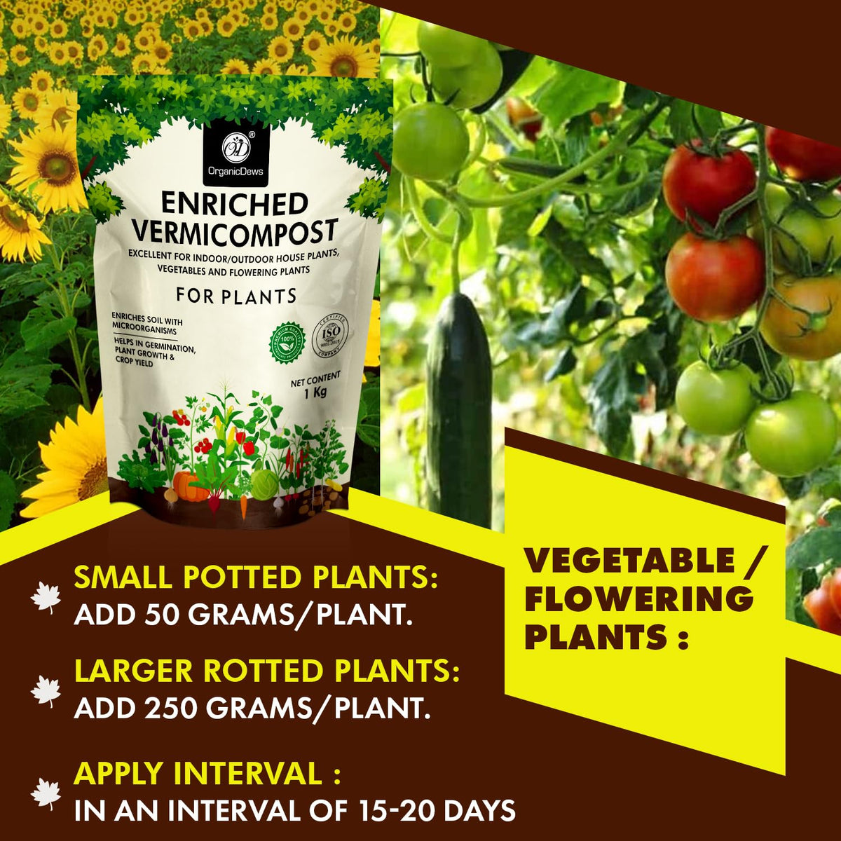 OrganicDews Enriched Vermicompost - Enriched & Fortified with Cow Dung and Bio Fertilizers - For Terrace Gardening, Vegetable/Flower Plants