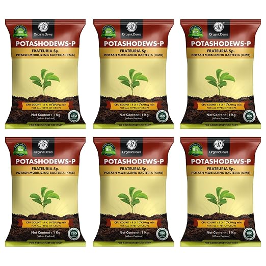 OrganicDews Potash Mobilizing Bacteria KMB Bio Fertilizer (5x10^7 CFU/g) Bio Inoculant for Plants – Improves Potassium Availability, Supports Root Growth, Flowering & Fruit Quality