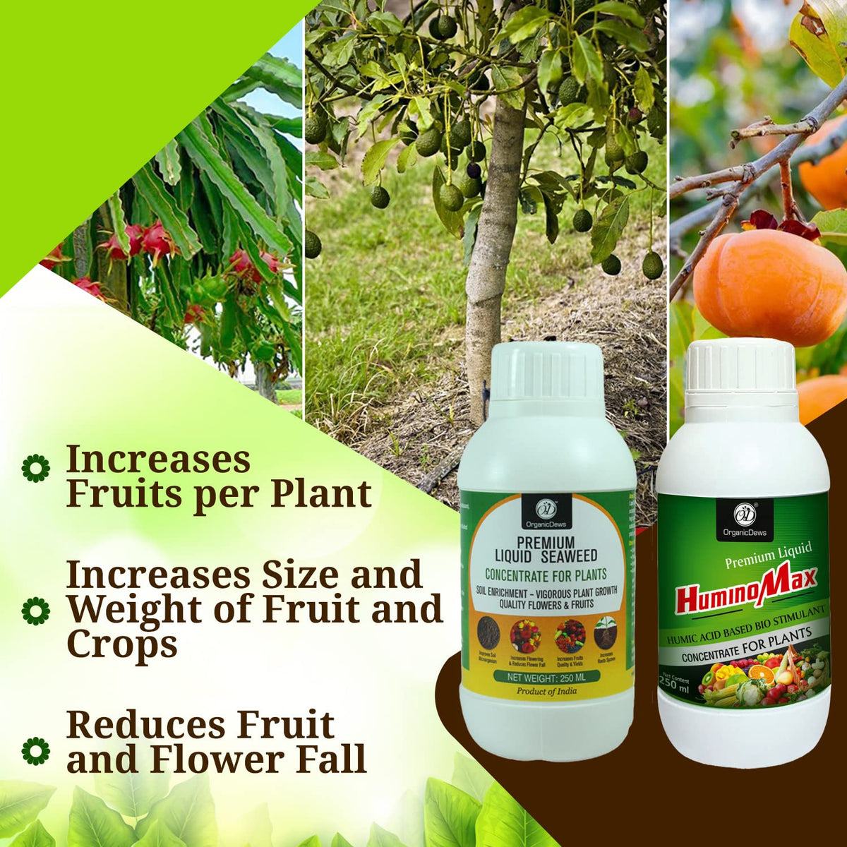 OrganicDews Liquid Seaweed Fertilizer & Humic Acid Fertilizer Combo Based Bio Stimulant for Plants Measuring Cap 25 ml - Plant Growth Enhancer, Soil Conditioner for Indoor & Outdoor