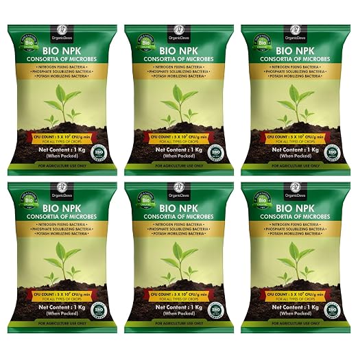 OrganicDews Bio NPK Consortia (5x10^7 CFU/g) Bio Fertilizer – Bio Inoculum for Plants – Improves Soil Fertility, Supports Plant Growth & Enhances Nutrient Availability