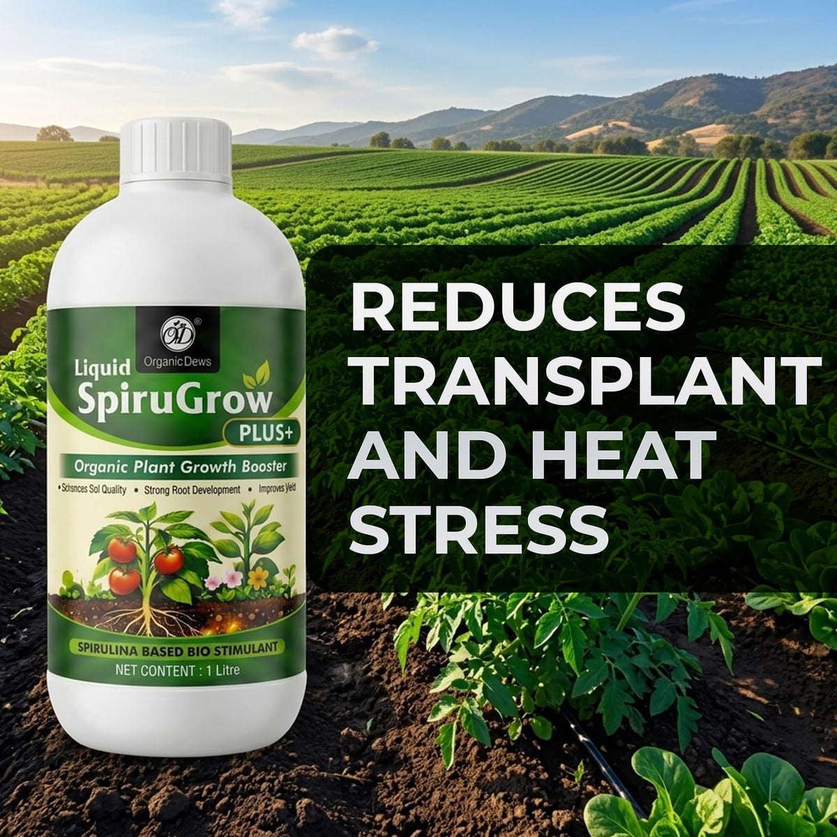 OrganicDews Liquid Spirulina Based Biostimulant for Plants - Organic Plant Growth Booster Improves Root Growth, Leaf Health & Flowering - For Indoor, Outdoor, Terrace & Garden Plants