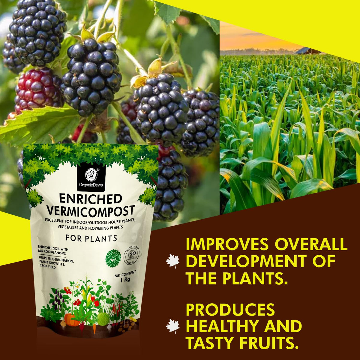 OrganicDews Enriched Vermicompost - Enriched & Fortified with Cow Dung and Bio Fertilizers - For Terrace Gardening, Vegetable/Flower Plants