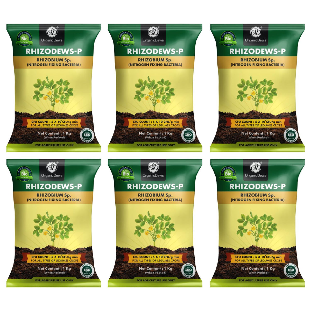 OrganicDews Rhizobium leguminosarum Bio Fertilizer Powder - Nitrogen-Fixing Bacteria (5×10⁷ CFU/g) for Legume Plants - Improves Nitrogen Availability, Root Development, Soil Fertility & Plant Growth - Rhizodews