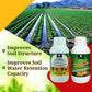 OrganicDews Liquid Seaweed Fertilizer & Humic Acid Fertilizer Combo Based Bio Stimulant for Plants Measuring Cap 25 ml - Plant Growth Enhancer, Soil Conditioner for Indoor & Outdoor