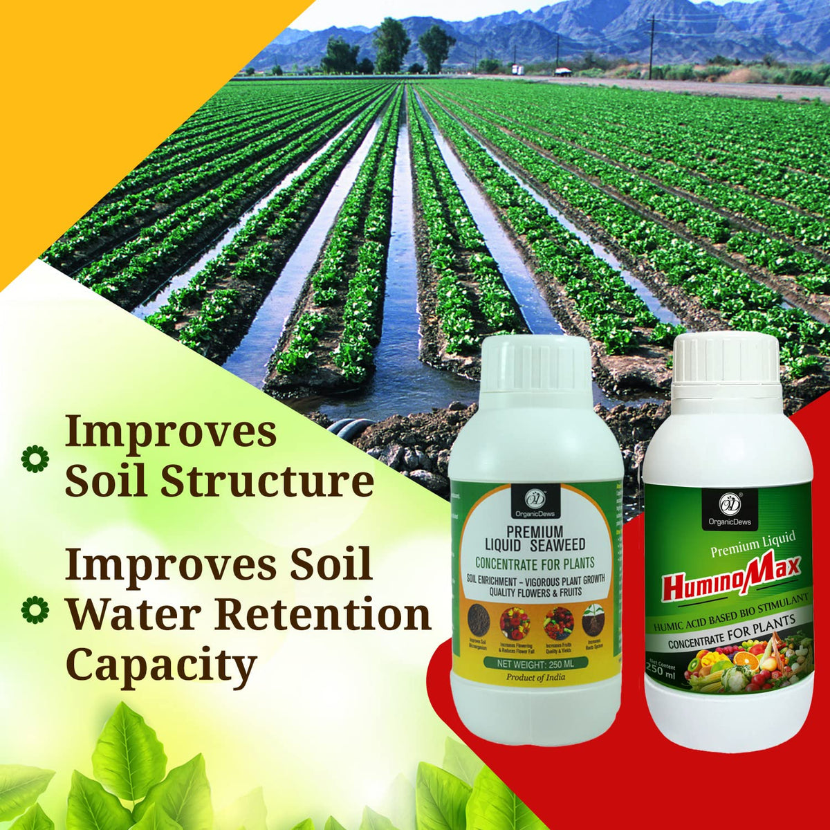 OrganicDews Liquid Seaweed Fertilizer & Humic Acid Fertilizer Combo Based Bio Stimulant for Plants Measuring Cap 25 ml - Plant Growth Enhancer, Soil Conditioner for Indoor & Outdoor