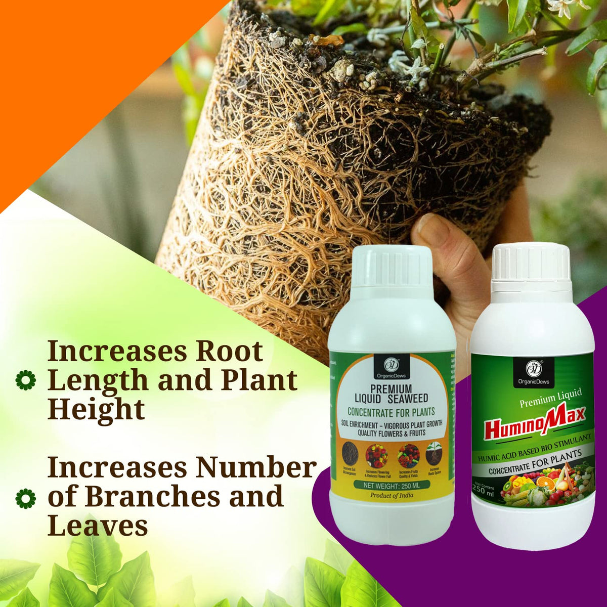 OrganicDews Liquid Seaweed Fertilizer & Humic Acid Fertilizer Combo Based Bio Stimulant for Plants Measuring Cap 25 ml - Plant Growth Enhancer, Soil Conditioner for Indoor & Outdoor