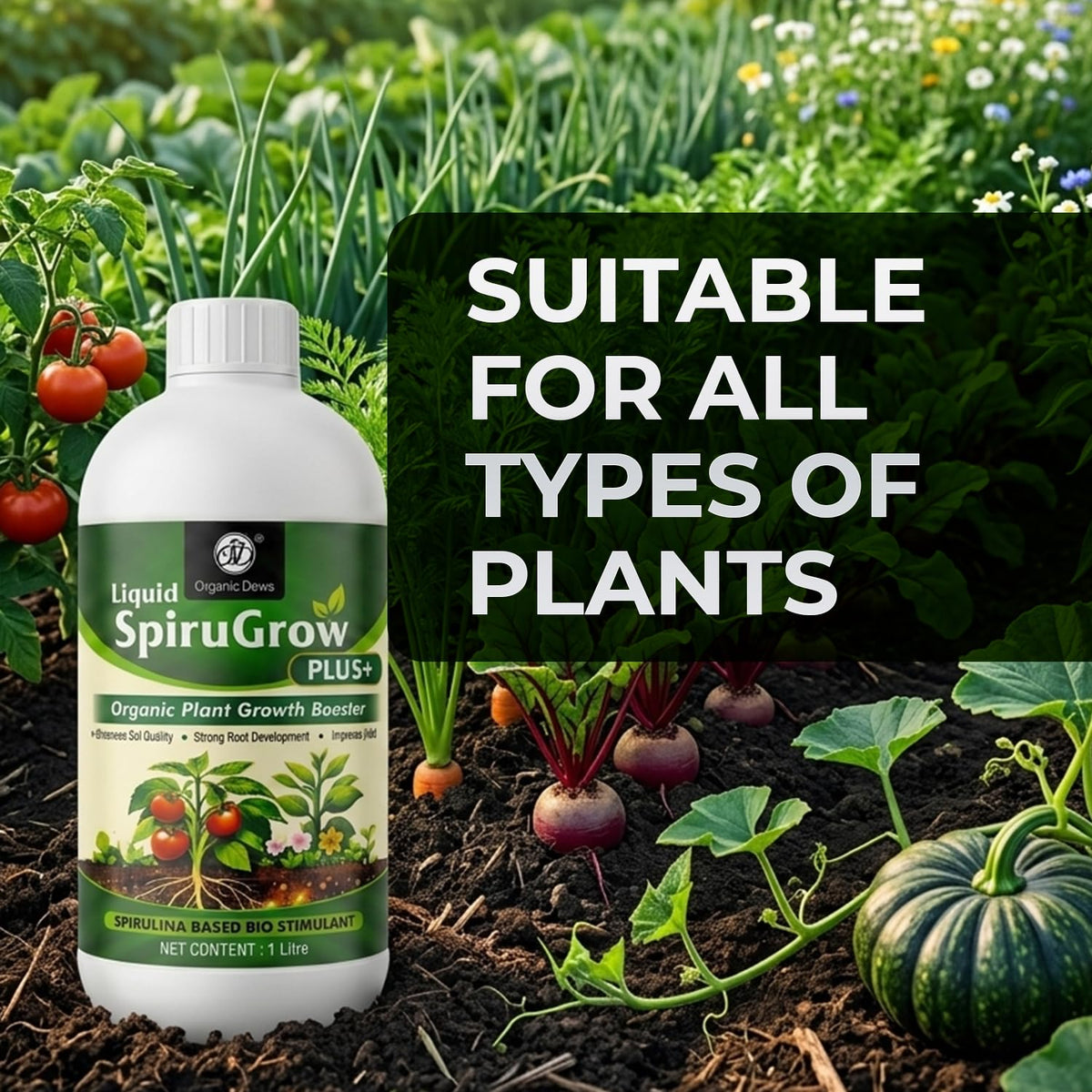 OrganicDews Liquid Spirulina Based Biostimulant for Plants - Organic Plant Growth Booster Improves Root Growth, Leaf Health & Flowering - For Indoor, Outdoor, Terrace & Garden Plants