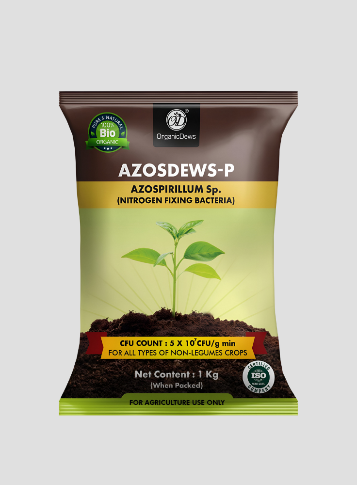 OrganicDews Azospirillum Bio Fertilizer Powder - Nitrogen-Fixing Bacteria (5×10⁷ CFU/g) for Plants - Improves Nitrogen Availability, Soil Fertility, Root Growth & Plant Growth - Azosdews