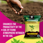 OrganicDews Azotobacter Bio Fertilizer Powder - Nitrogen-Fixing Bacteria (5×10⁷ CFU/g) for Plants - Improves Nitrogen Availability, Soil Fertility, Root Growth & Plant Growth - AzotoDews