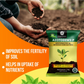 OrganicDews Azotobacter Bio Fertilizer Powder - Nitrogen-Fixing Bacteria (5×10⁷ CFU/g) for Plants - Improves Nitrogen Availability, Soil Fertility, Root Growth & Plant Growth - AzotoDews