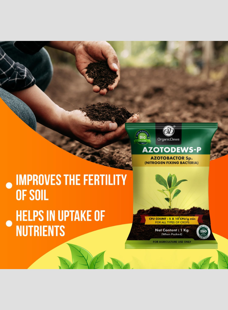 OrganicDews Azotobacter Bio Fertilizer Powder - Nitrogen-Fixing Bacteria (5×10⁷ CFU/g) for Plants - Improves Nitrogen Availability, Soil Fertility, Root Growth & Plant Growth - AzotoDews