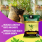 OrganicDews Azotobacter Bio Fertilizer Powder - Nitrogen-Fixing Bacteria (5×10⁷ CFU/g) for Plants - Improves Nitrogen Availability, Soil Fertility, Root Growth & Plant Growth - AzotoDews