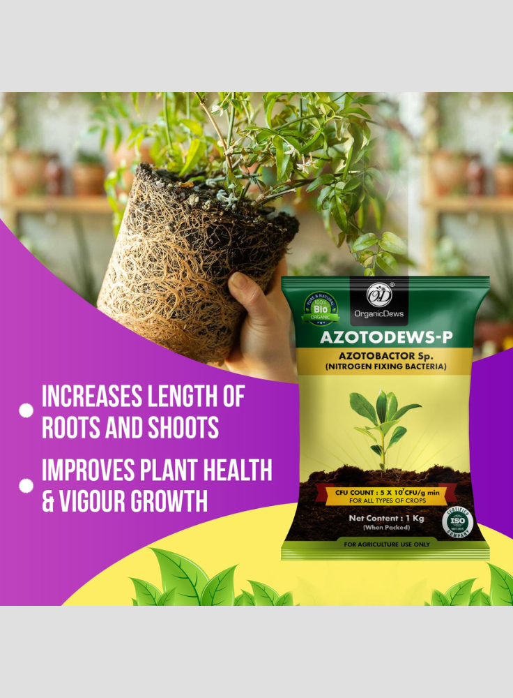 OrganicDews Azotobacter Bio Fertilizer Powder - Nitrogen-Fixing Bacteria (5×10⁷ CFU/g) for Plants - Improves Nitrogen Availability, Soil Fertility, Root Growth & Plant Growth - AzotoDews