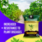 OrganicDews Azotobacter Bio Fertilizer Powder - Nitrogen-Fixing Bacteria (5×10⁷ CFU/g) for Plants - Improves Nitrogen Availability, Soil Fertility, Root Growth & Plant Growth - AzotoDews