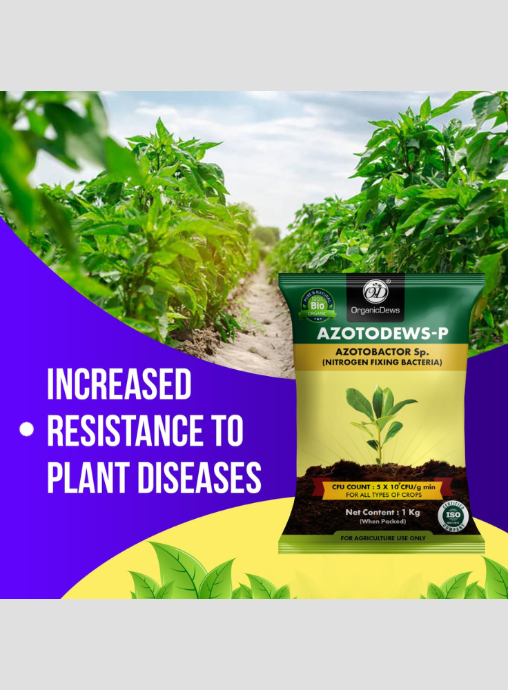 OrganicDews Azotobacter Bio Fertilizer Powder - Nitrogen-Fixing Bacteria (5×10⁷ CFU/g) for Plants - Improves Nitrogen Availability, Soil Fertility, Root Growth & Plant Growth - AzotoDews