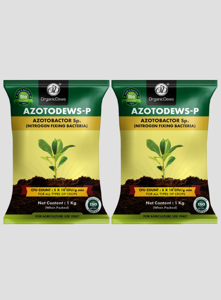 OrganicDews Azotobacter Bio Fertilizer Powder - Nitrogen-Fixing Bacteria (5×10⁷ CFU/g) for Plants - Improves Nitrogen Availability, Soil Fertility, Root Growth & Plant Growth - AzotoDews