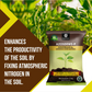 OrganicDews Azospirillum Bio Fertilizer Powder - Nitrogen-Fixing Bacteria (5×10⁷ CFU/g) for Plants - Improves Nitrogen Availability, Soil Fertility, Root Growth & Plant Growth - Azosdews