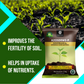 OrganicDews Azospirillum Bio Fertilizer Powder - Nitrogen-Fixing Bacteria (5×10⁷ CFU/g) for Plants - Improves Nitrogen Availability, Soil Fertility, Root Growth & Plant Growth - Azosdews