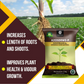 OrganicDews Azospirillum Bio Fertilizer Powder - Nitrogen-Fixing Bacteria (5×10⁷ CFU/g) for Plants - Improves Nitrogen Availability, Soil Fertility, Root Growth & Plant Growth - Azosdews