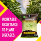OrganicDews Azospirillum Bio Fertilizer Powder - Nitrogen-Fixing Bacteria (5×10⁷ CFU/g) for Plants - Improves Nitrogen Availability, Soil Fertility, Root Growth & Plant Growth - Azosdews
