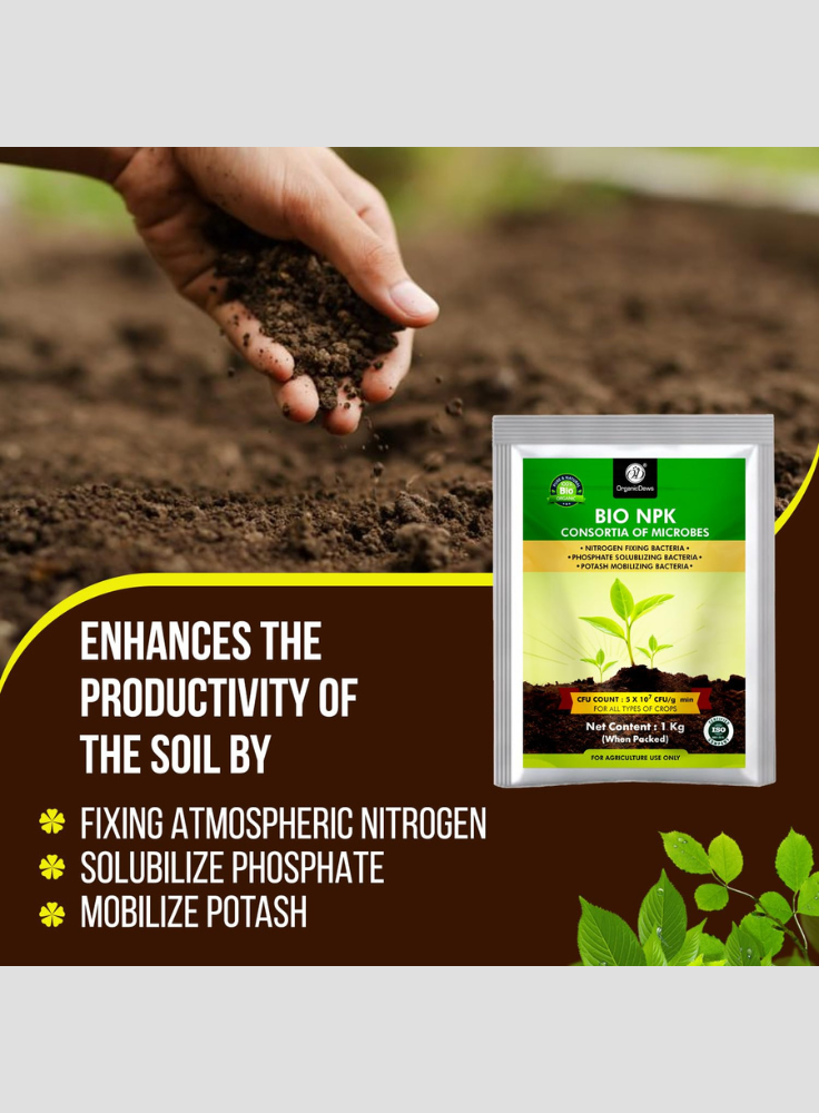 OrganicDews Bio NPK Consortia (5x10^7 CFU/g) Bio Fertilizer – Bio Inoculum for Plants – Improves Soil Fertility, Supports Plant Growth & Enhances Nutrient Availability