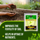 OrganicDews Bio NPK Consortia (5x10^7 CFU/g) Bio Fertilizer – Bio Inoculum for Plants – Improves Soil Fertility, Supports Plant Growth & Enhances Nutrient Availability