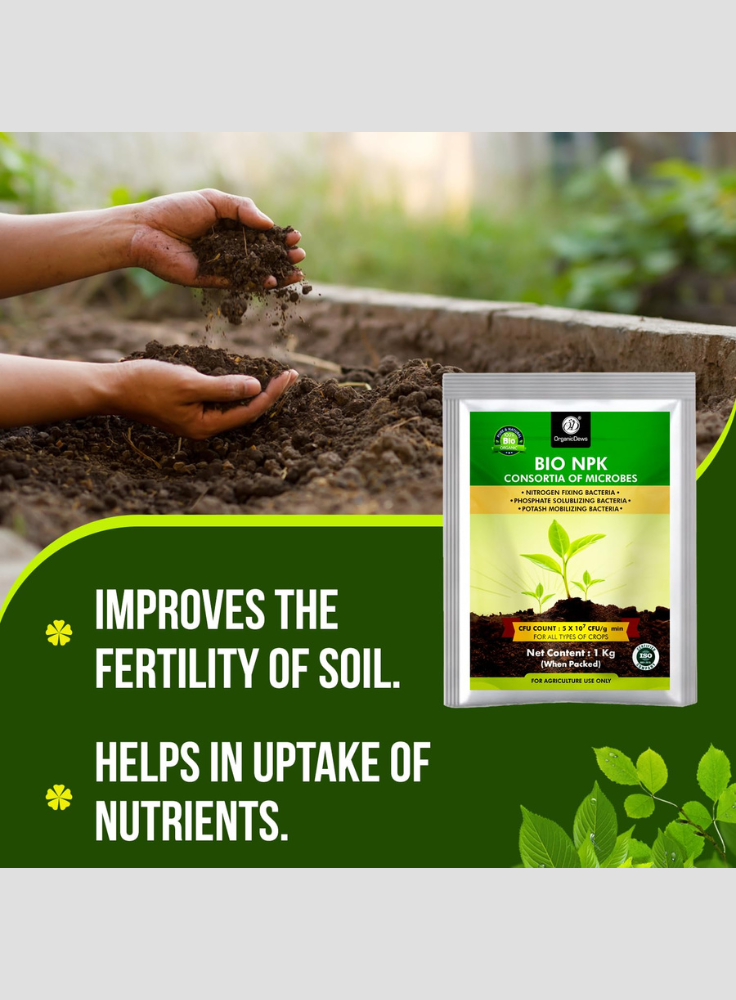 OrganicDews Bio NPK Consortia (5x10^7 CFU/g) Bio Fertilizer – Bio Inoculum for Plants – Improves Soil Fertility, Supports Plant Growth & Enhances Nutrient Availability