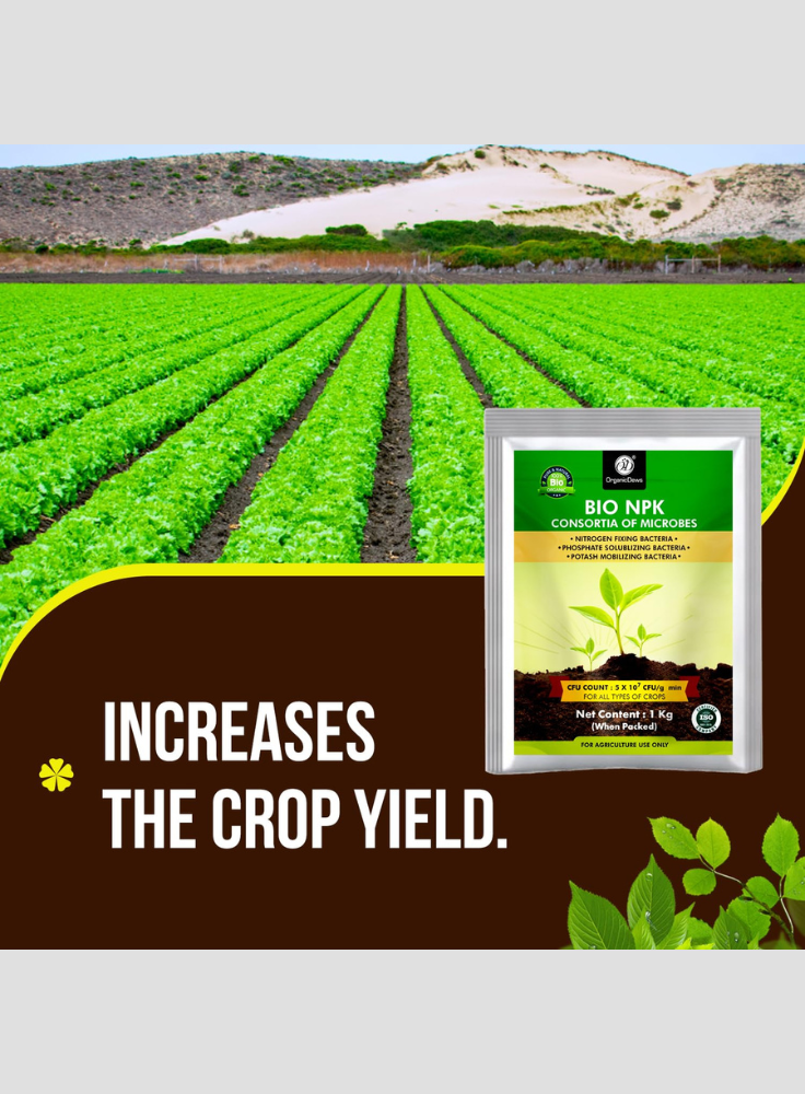 OrganicDews Bio NPK Consortia (5x10^7 CFU/g) Bio Fertilizer – Bio Inoculum for Plants – Improves Soil Fertility, Supports Plant Growth & Enhances Nutrient Availability
