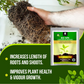 OrganicDews Bio NPK Consortia (5x10^7 CFU/g) Bio Fertilizer – Bio Inoculum for Plants – Improves Soil Fertility, Supports Plant Growth & Enhances Nutrient Availability