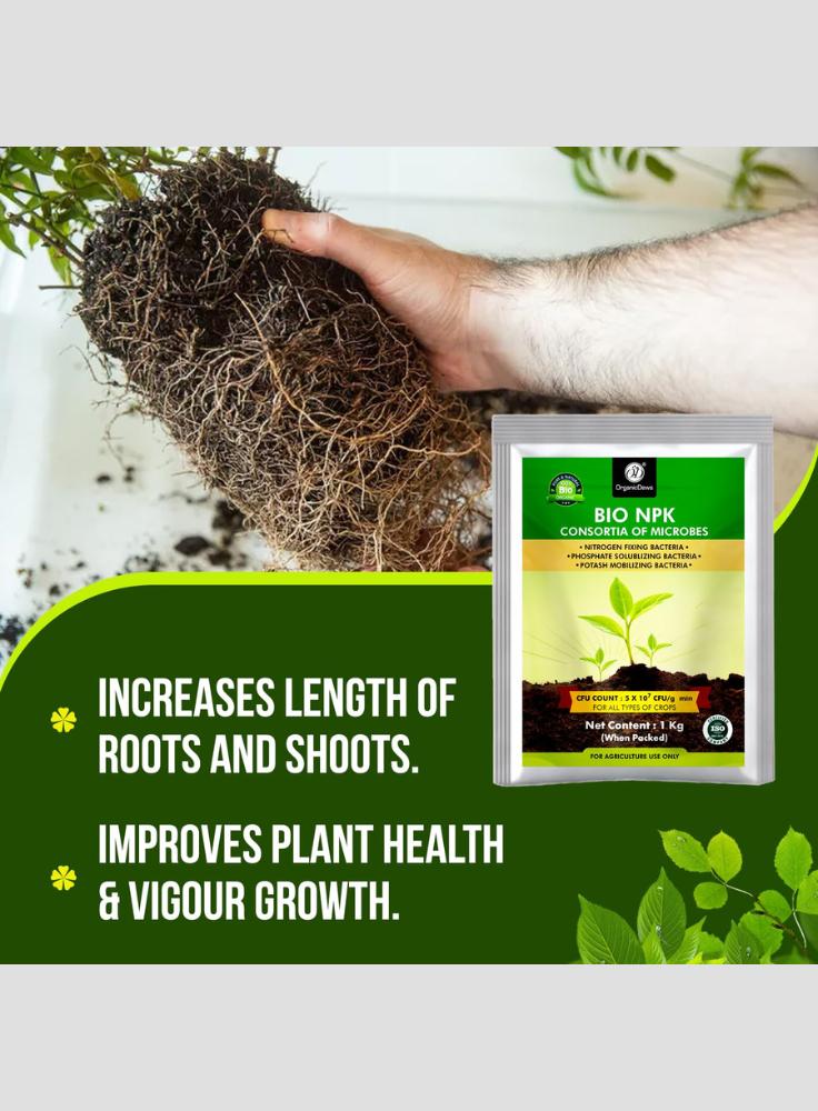 OrganicDews Bio NPK Consortia (5x10^7 CFU/g) Bio Fertilizer – Bio Inoculum for Plants – Improves Soil Fertility, Supports Plant Growth & Enhances Nutrient Availability