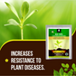 OrganicDews Bio NPK Consortia (5x10^7 CFU/g) Bio Fertilizer – Bio Inoculum for Plants – Improves Soil Fertility, Supports Plant Growth & Enhances Nutrient Availability
