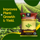 OrganicDews Potash Mobilizing Bacteria KMB Bio Fertilizer (5x10^7 CFU/g) Bio Inoculant for Plants – Improves Potassium Availability, Supports Root Growth, Flowering & Fruit Quality