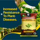 OrganicDews Potash Mobilizing Bacteria KMB Bio Fertilizer (5x10^7 CFU/g) Bio Inoculant for Plants – Improves Potassium Availability, Supports Root Growth, Flowering & Fruit Quality