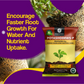 OrganicDews Potash Mobilizing Bacteria KMB Bio Fertilizer (5x10^7 CFU/g) Bio Inoculant for Plants – Improves Potassium Availability, Supports Root Growth, Flowering & Fruit Quality