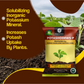 OrganicDews Potash Mobilizing Bacteria KMB Bio Fertilizer (5x10^7 CFU/g) Bio Inoculant for Plants – Improves Potassium Availability, Supports Root Growth, Flowering & Fruit Quality