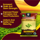 OrganicDews Potash Mobilizing Bacteria KMB Bio Fertilizer (5x10^7 CFU/g) Bio Inoculant for Plants – Improves Potassium Availability, Supports Root Growth, Flowering & Fruit Quality