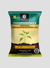 OrganicDews Phosphate Solubilizing Bacteria (PSB) Bio Fertilizer Powder (5×10⁷ CFU/g) for Plants - Improves Phosphorus Availability, Nutrient Uptake, Root Development & Plant Growth